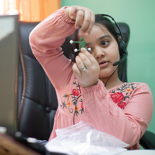 anilsharma26-online-school-6956169.jpg