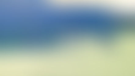 Match Reports 11 Nov 2023