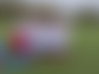 Match Reports 18 & 19 Oct 2025