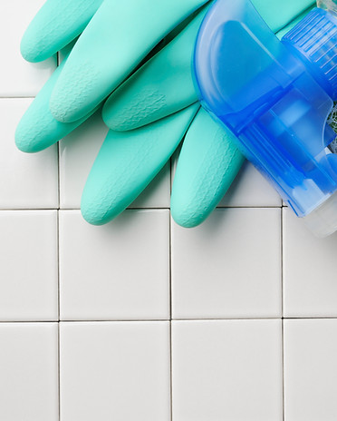 Cleaning services we offer include End-of-tenancy Residential cleaning Window , Carpet and Sofa cleaning IT cleaning