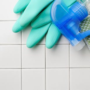 Professional House Cleaning