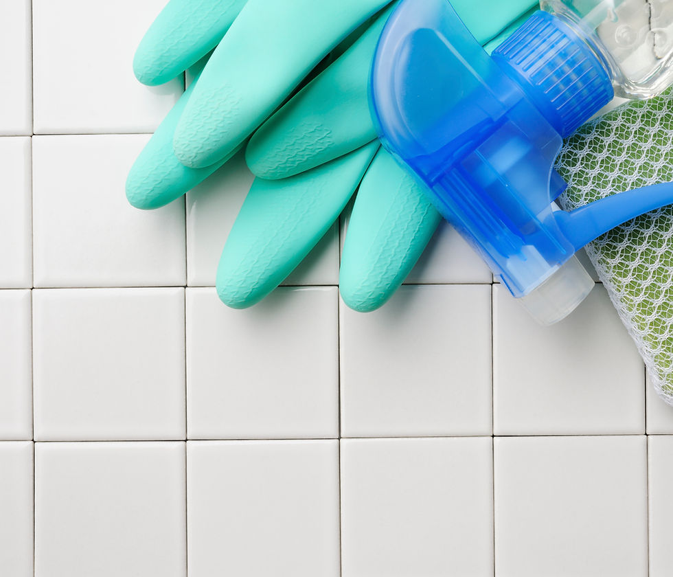 Cleaning Equipment