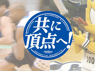 シーホース三河 CM