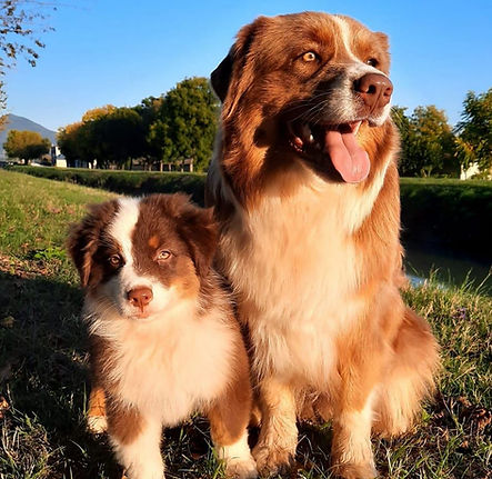 bube sister rosse.jpg