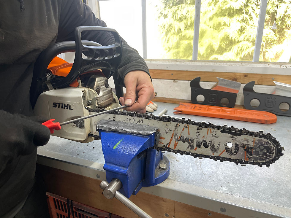 Arboriculture training using professional chainsaw equipment