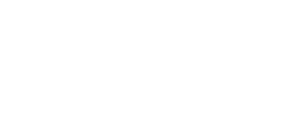 Meda.png