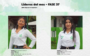 Captura de pantalla 2024-06-10 202232.png