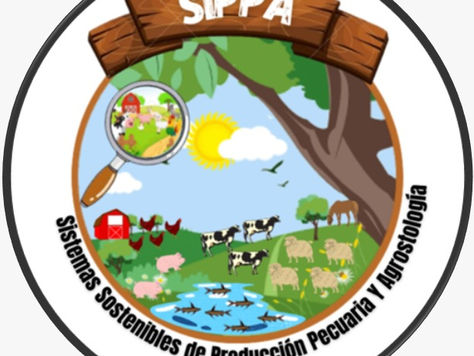 SEMILLERO SIPPA