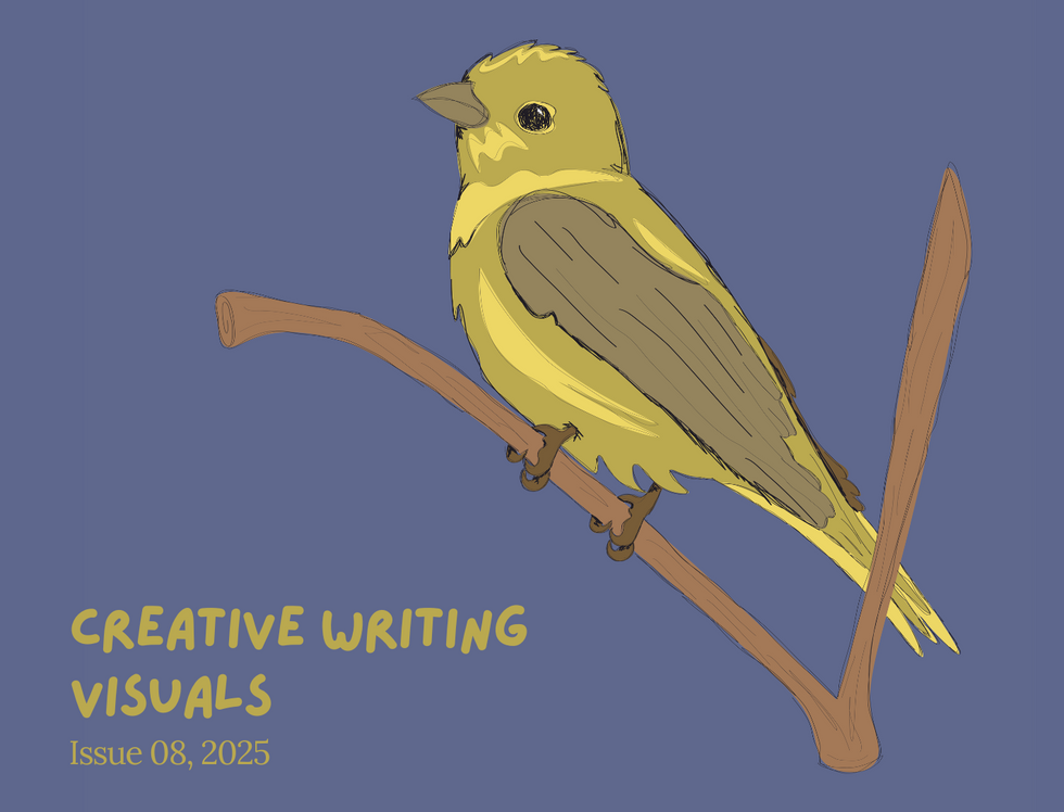 Creative Writing Visuals