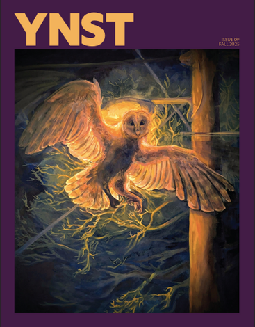 Ynst Magazine