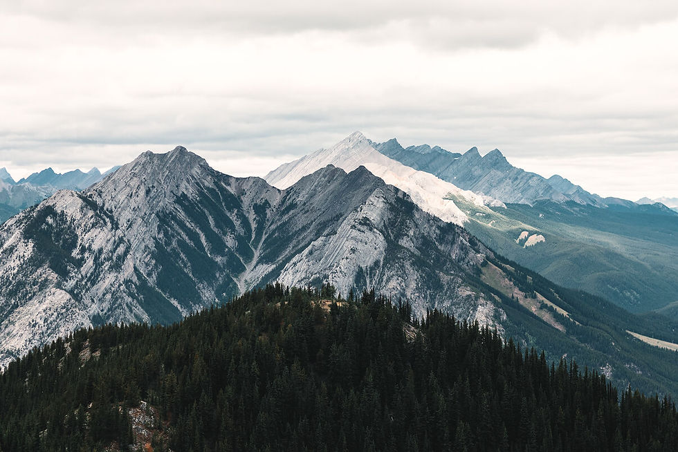 corporate-owned-investment-strategy-long-view-mountains (1).jpg