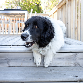 nixx_photography_tucker_lr-13.jpg