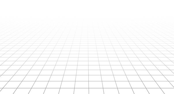 white grid background.jpeg