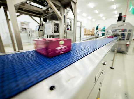 food packing and sorting industry equipment