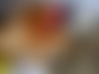 Protecting Yourself From Logical Fallacies (Or The Mother Hen Review)