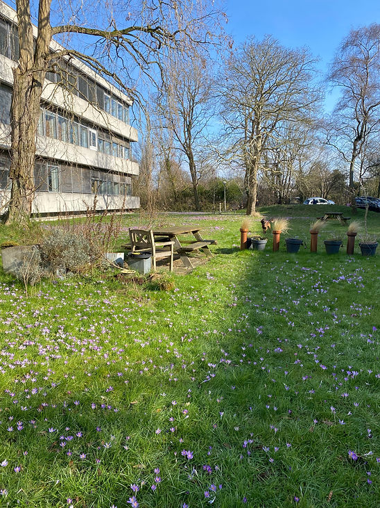 Aterlier Biotoop Haren.jpg