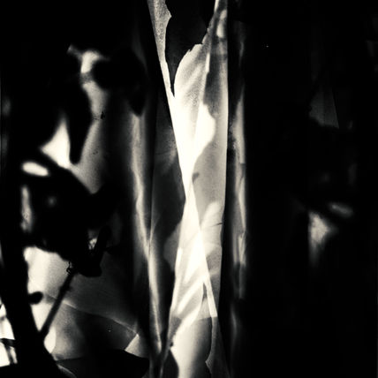 image blending final piece 4.jpg