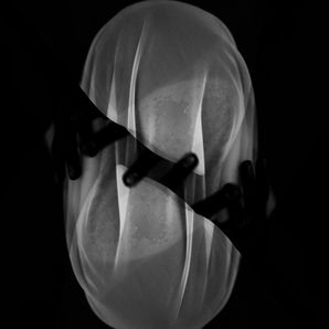 ERWIN R IMG B 12.jpg