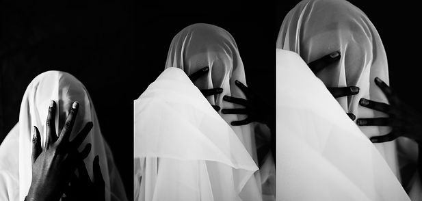 erwin composition.jpg