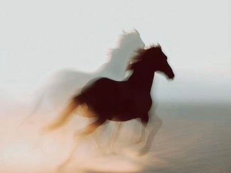 Giddy up - the Fire Horse is here. Are you ready?!