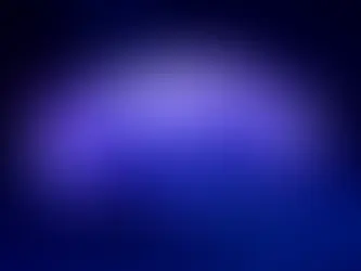 Moon jellyfish