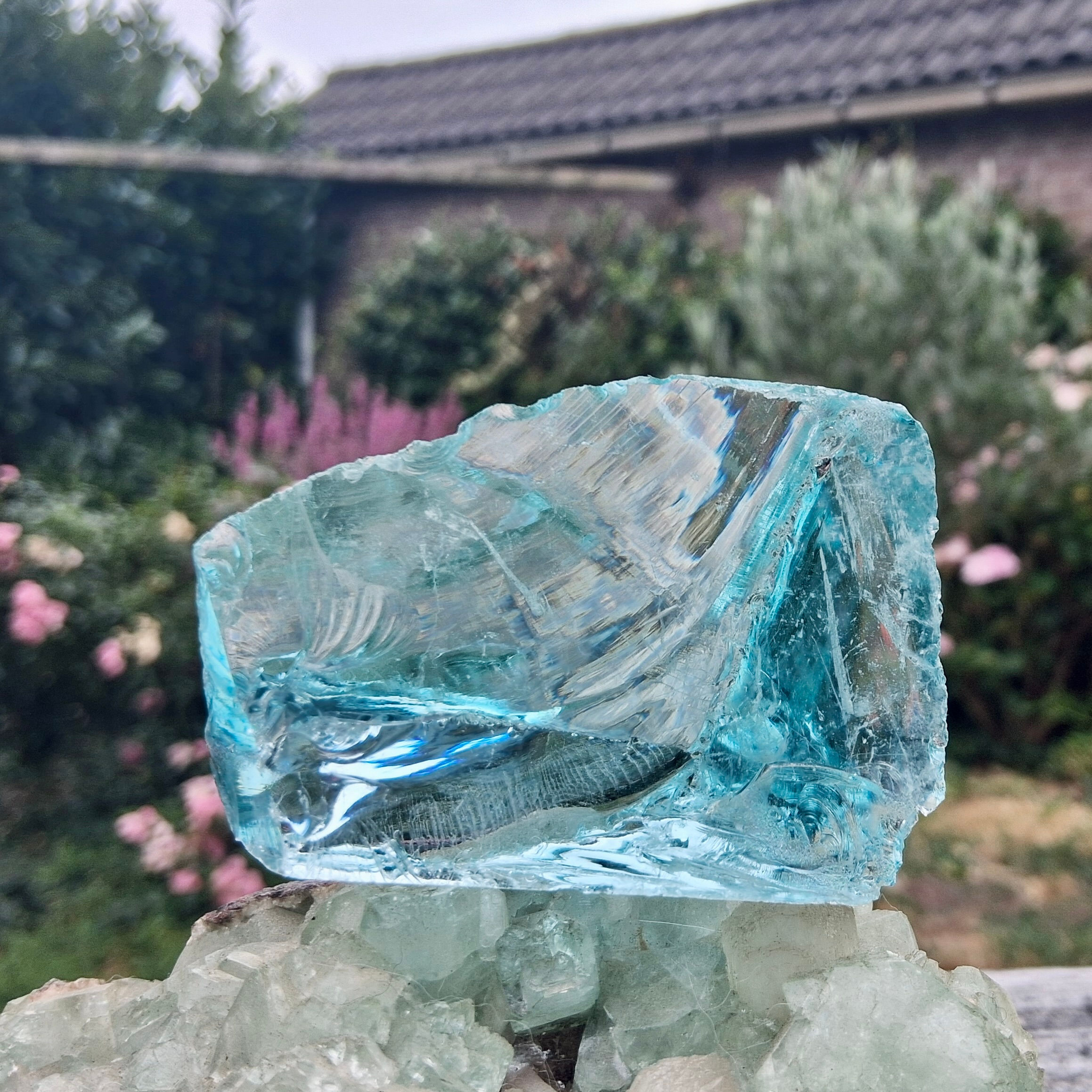 Cyan Angeles Andara 113 gram