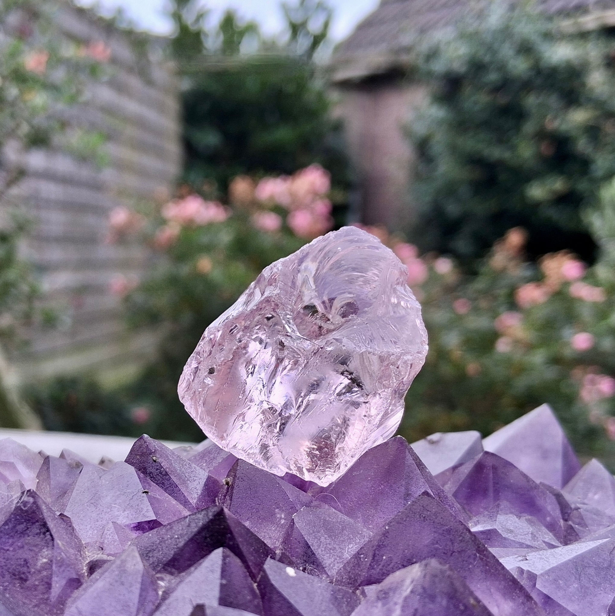 Celestial Heart Andara 24 gram