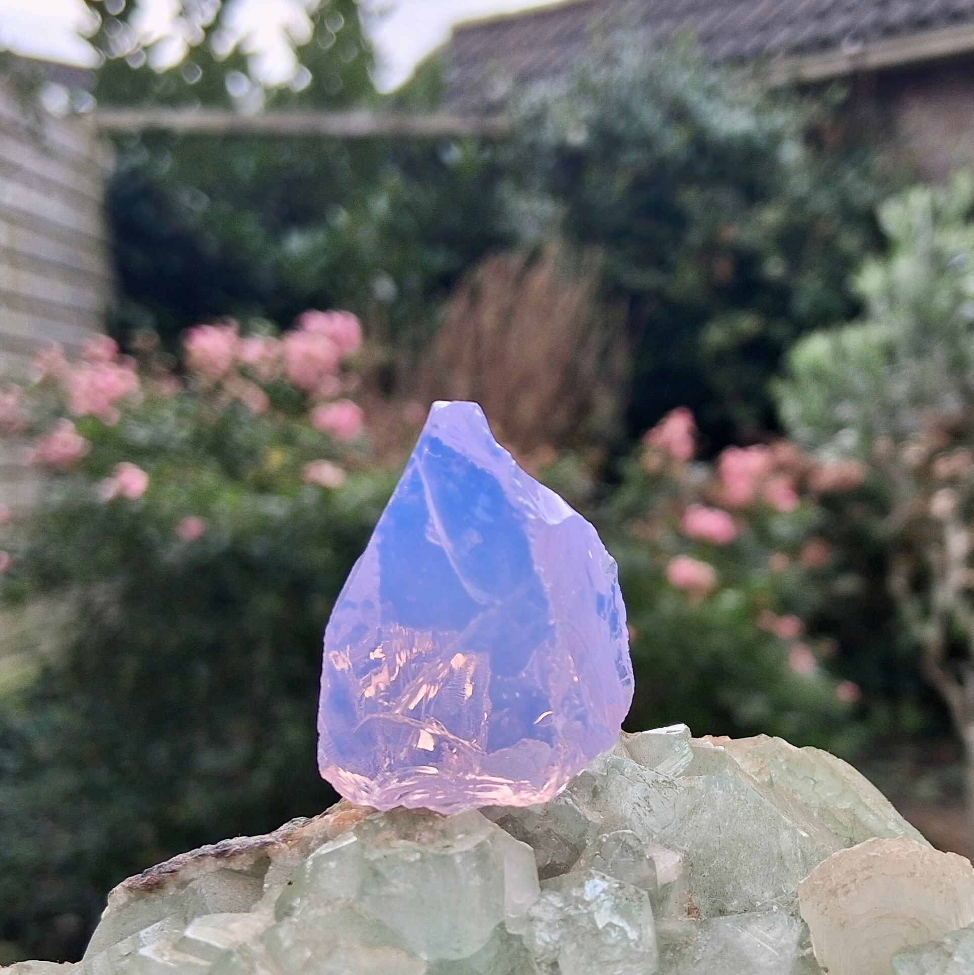 Opalised Violet Soeverein Amethyst Andara 14 gram