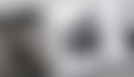 The Luxury Network Magazine