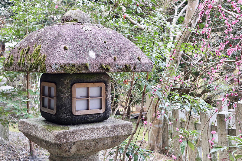 On the Philosophers walk