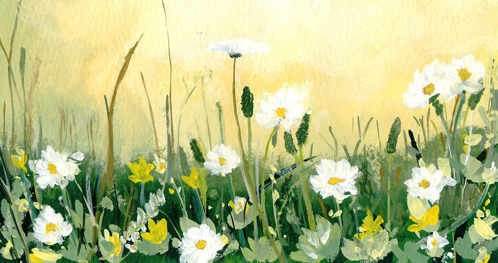 Golden Hour Daisies Bright 5.22 MB JPG.jpg