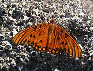 P9280463_edited.jpg