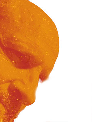 candidate photo_edited_edited_edited_edited_edited.png