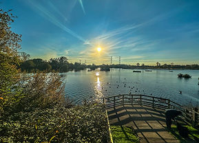 View over Seventy Acres Lake