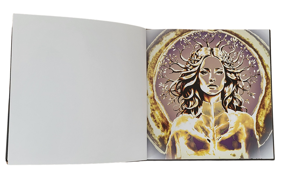 Artbook Carole Framezelle