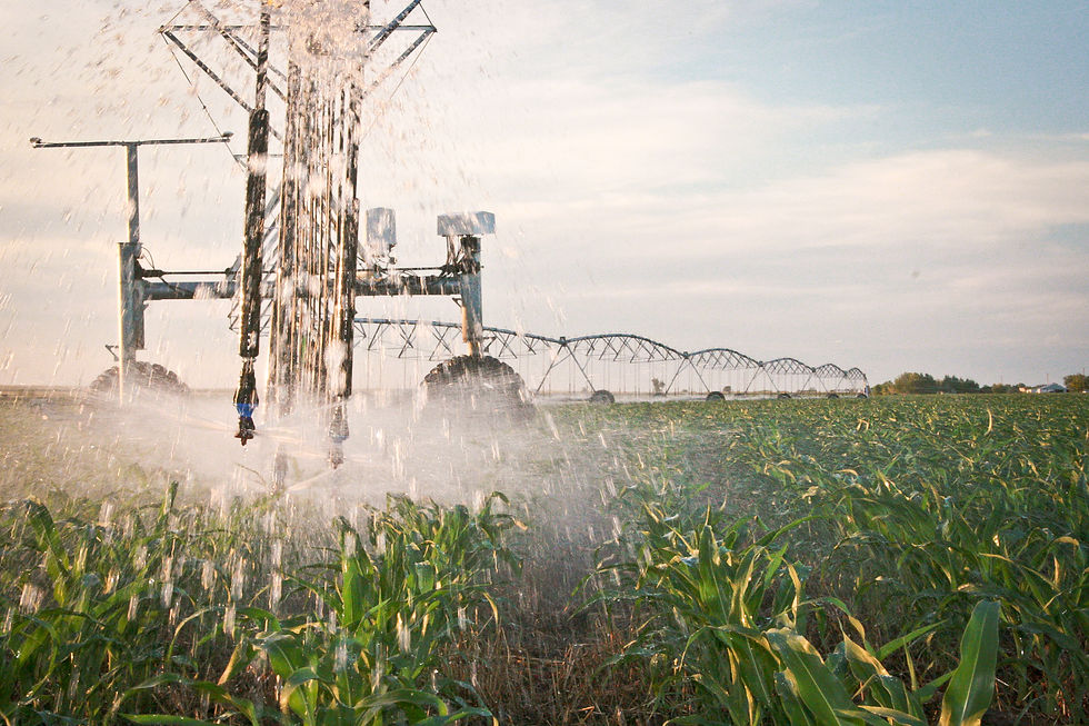 colorado plains irrigation pictures, sprinklers, irrigation, pipeline