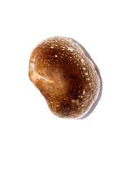 001-FR-Restaurant VIVANT-Marco Strullu-1122-0269.jpg