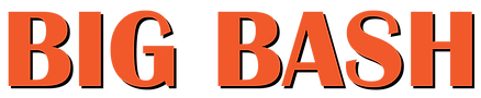 type logo