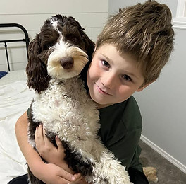 A boy hugging his labradoodle dog