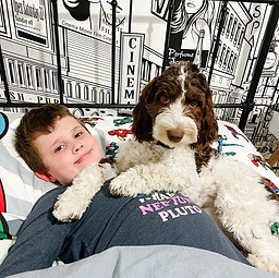 Boy cuddling with his adorable Labradoodle