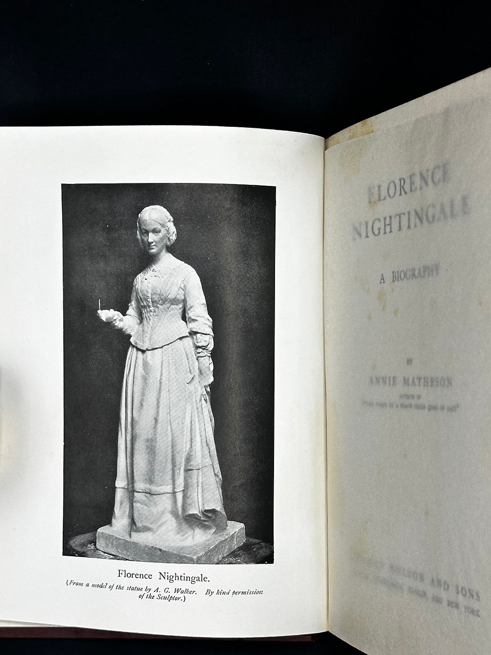 Thumbnail: Florence Nightingale: A Biography by Annie Matheson.