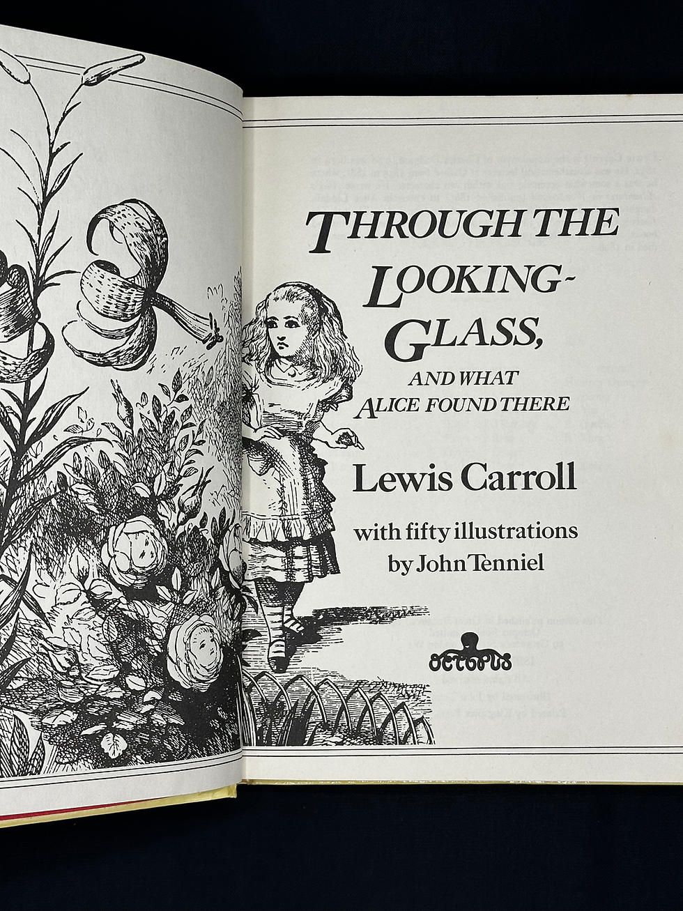 Thumbnail: Through the Looking-Glass and What Alice Found There by Lewis Carroll.