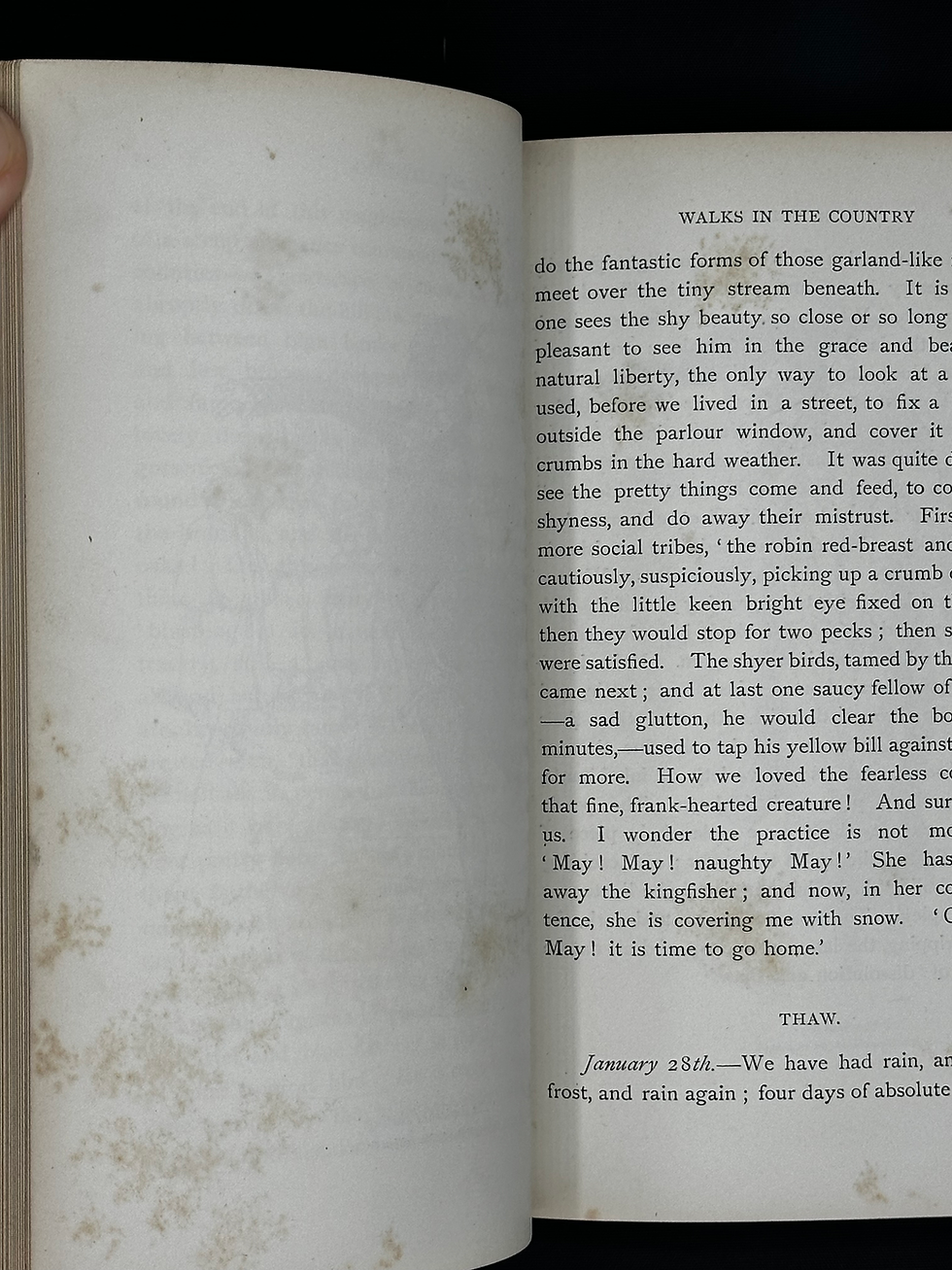 Thumbnail: 1893 Our Village by Mary Russell Mitford.