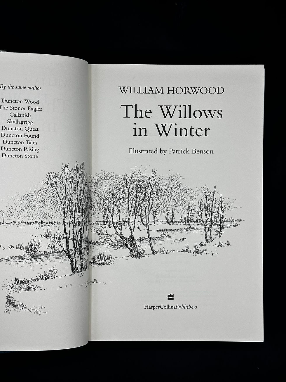 Thumbnail: The Willows in Winter by William Horwood.
