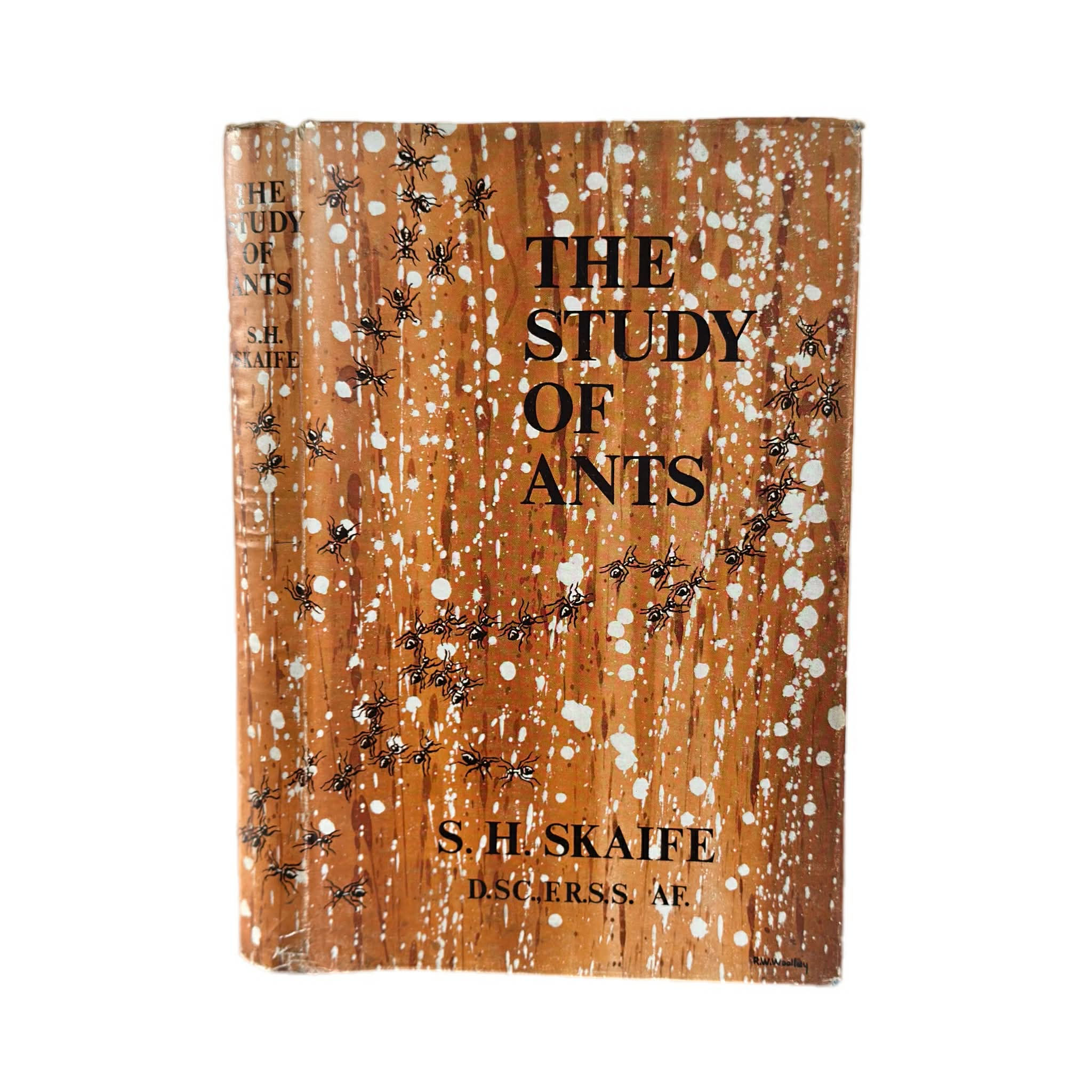 The Study of Ants by S. H. Skaife.