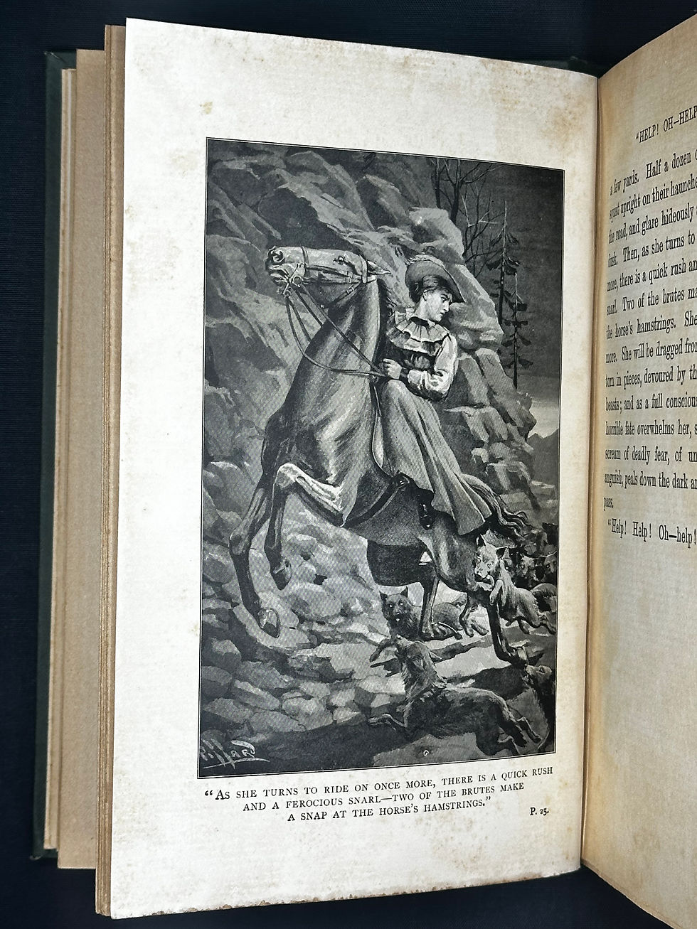 Thumbnail: 1899 The Weird of Deadly Hollow: A Tale of the Cape Colony by Bertram Mitford.