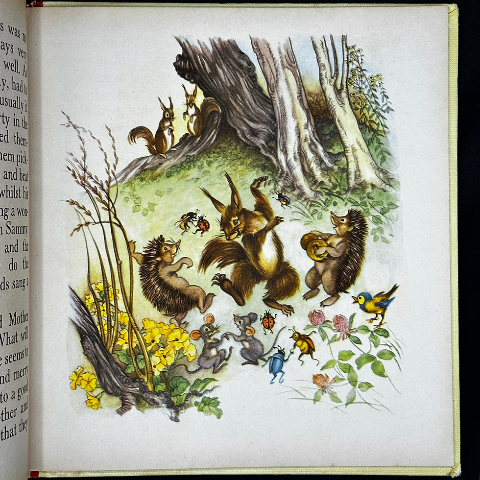 Thumbnail: Sammy the Squirrel: A Children's Story Book by D. Rudeman.