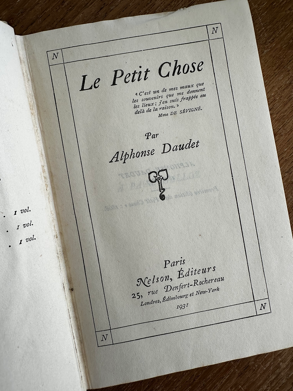 Thumbnail: Nelson Antique Books - Written in French - Purchase Individually - Beautifully D