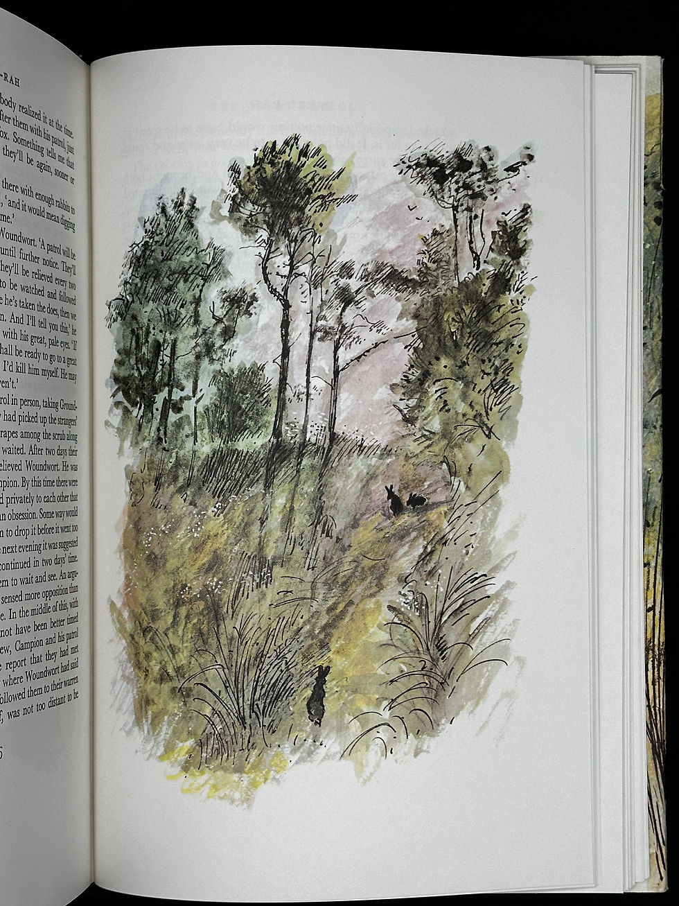 Thumbnail: Watership Down by Richard Adams. Illustrated Edition in Slipcase.