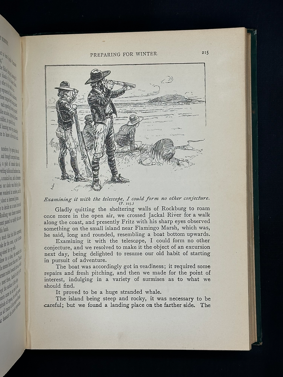 Thumbnail: c.1910 The Swiss Family Robinson. Edited by W. H. G. Kingston